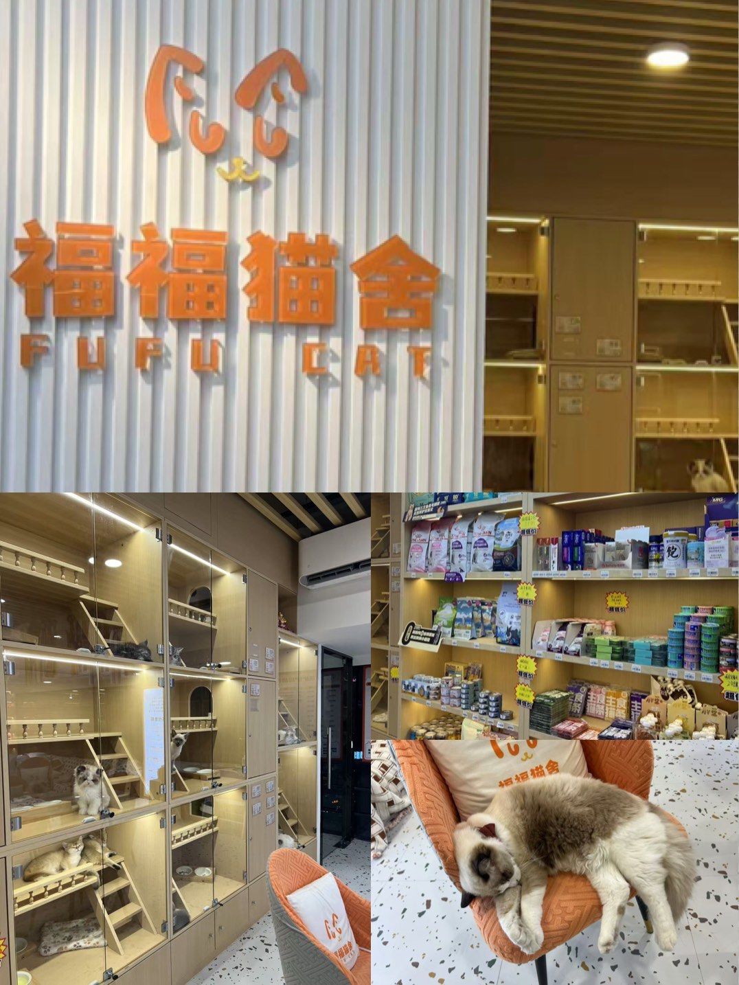 0元玩转这座城

让人安心靠谱的宠物店～壹方城对面的宏发中心17