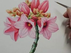 -八哥美术·成人美术画室(总校区)