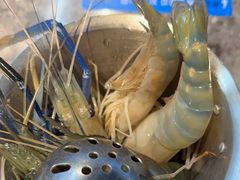 -曼格活海鲜·牛排自助(光明蓝鲸店)