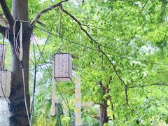 -陶缘一号·四季缘·老字号顺德菜·户外婚礼家宴(西滘店)