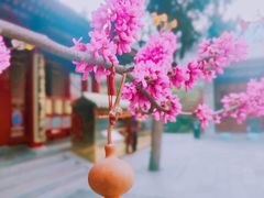 -西安市广仁寺