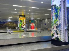 -张家界荷花国际机场