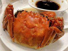 -苏浙汇(肇嘉浜路总店)