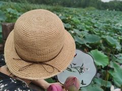 -荷塘月色湿地公园·向阳花洲