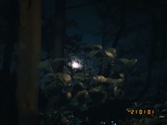 -神光山国家森林公园