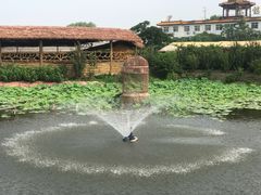 -白洋淀景区