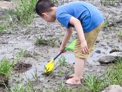 -南汇嘴观海公园