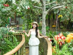 -正佳雨林生态植物园