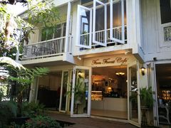 -Fern Forest Cafe