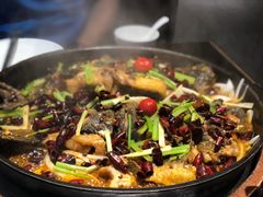 -老板恋上鱼(恒隆广场店)