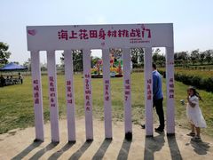 -杭州湾海上花田景区