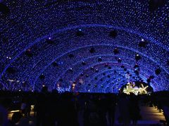 -欢乐海岸水秀剧场