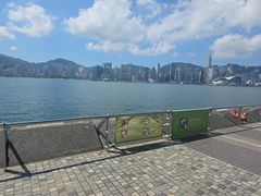 -星光大道