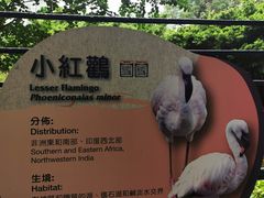 -九龙公园