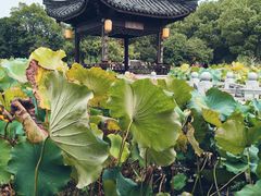 -丝绸小镇荻港古村
