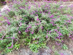 -白鹭湾湿地公园