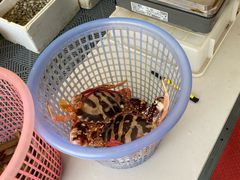 -琼大师东方烤乳猪(亚特兰蒂斯店)