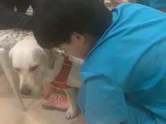 -美迦爱-牙专科·兔科·骨科诊疗中心(北苑店)