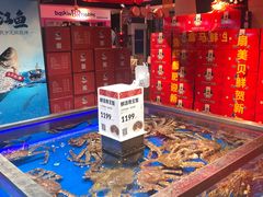 -盒马鲜生(大成店)