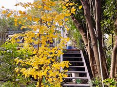 -谷咖啡·鲜花绿植花园餐厅