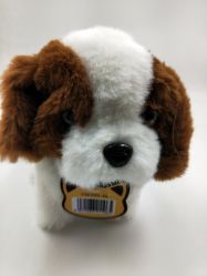 -开心哈乐亲子乐园(东森时尚百货店)