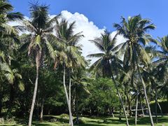 -三亚南山文化旅游区