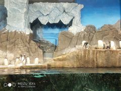 -成都浩海立方海洋公园