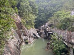 -广州白江湖森林公园