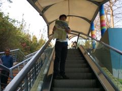 iphone_upload_pic-东部华侨城
