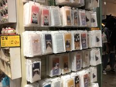 -猫咪博物馆(顶澳仔猫街店)