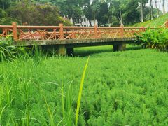 -东莞植物园