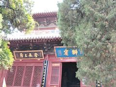 -洛阳白马寺
