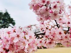 -上海辰山植物园