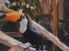 -上海野生动物园