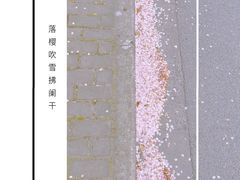 -高东镇樱花园