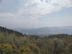 -冶父山国家森林公园