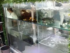 -秋语木桶鱼.酸菜鱼(开发区火车站店)