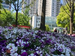 -北外滩滨江绿地