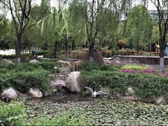 -灵山莲花公园-温泉度假区