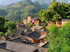 -杨家堂村