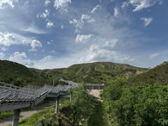 -大青山野生动物园
