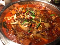 -宽口美蛙鱼头(大唐西市店)
