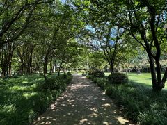 -陆家嘴中心绿地