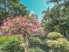 -华南国家植物园-售票处