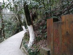 -云碧峰国家森林公园