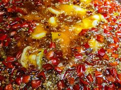 -雲蜀龙阁·金牌水煮鱼(方庄店)