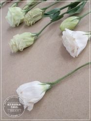 -尚艺美容美发