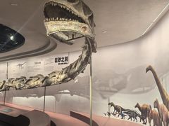 -自贡恐龙博物馆