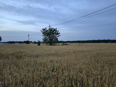 -汉长安城未央宫国家考古遗址公园