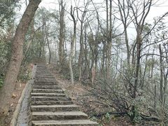 -岳麓山风景名胜区